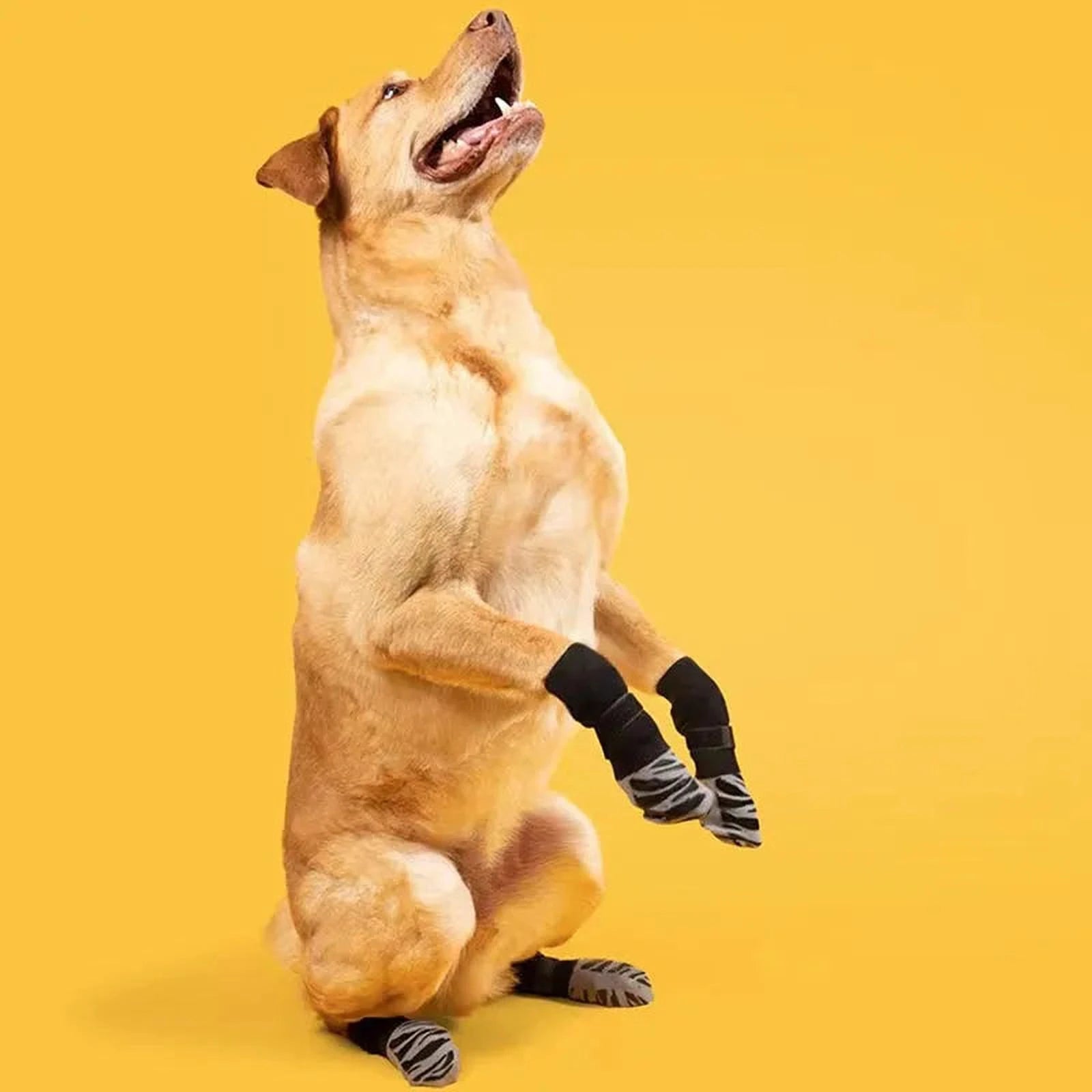 Hundesocken Anti Rutsch | Pfotenschutz mit rutschfester Sohle & Komfort