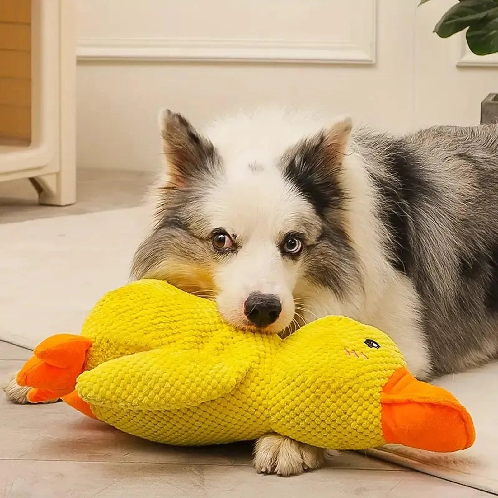 Hundespielzeug Ente | Kau- und Quietschtier gegen Langeweile & Angst