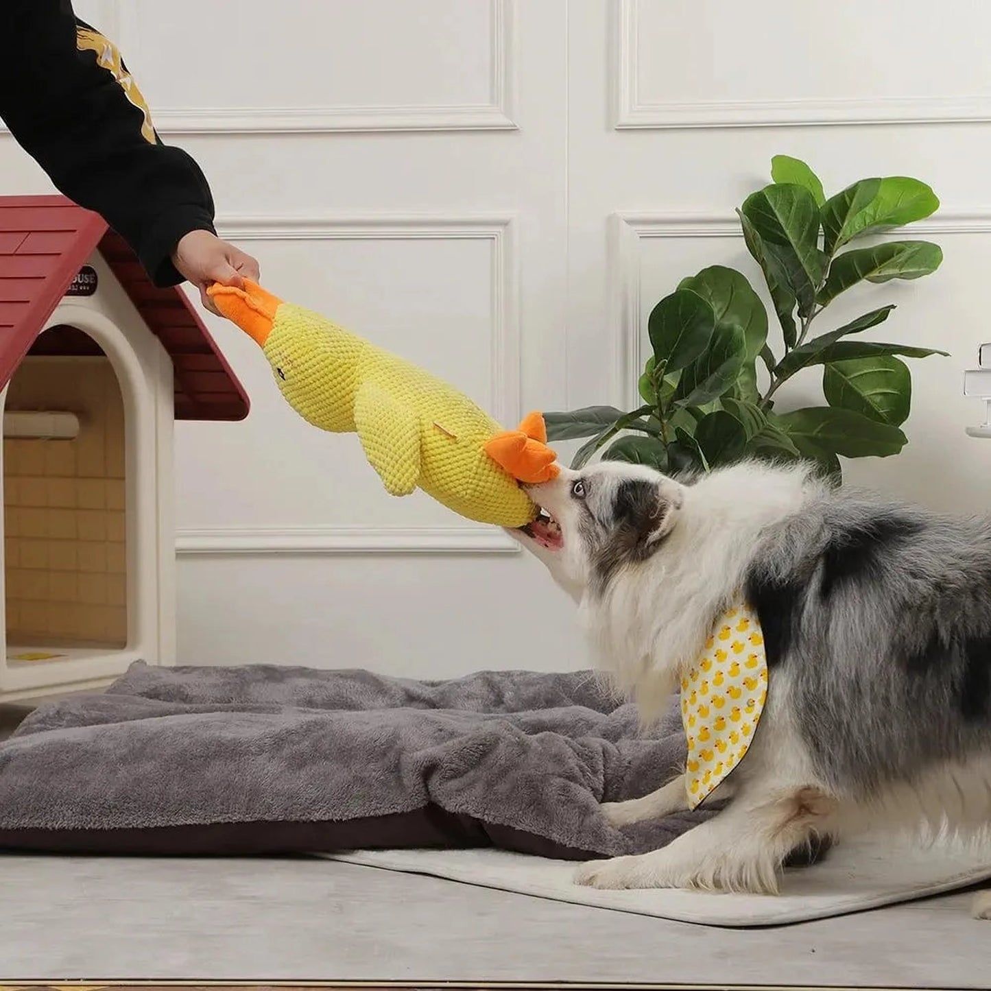 Hundespielzeug Ente | Kau- und Quietschtier gegen Langeweile & Angst