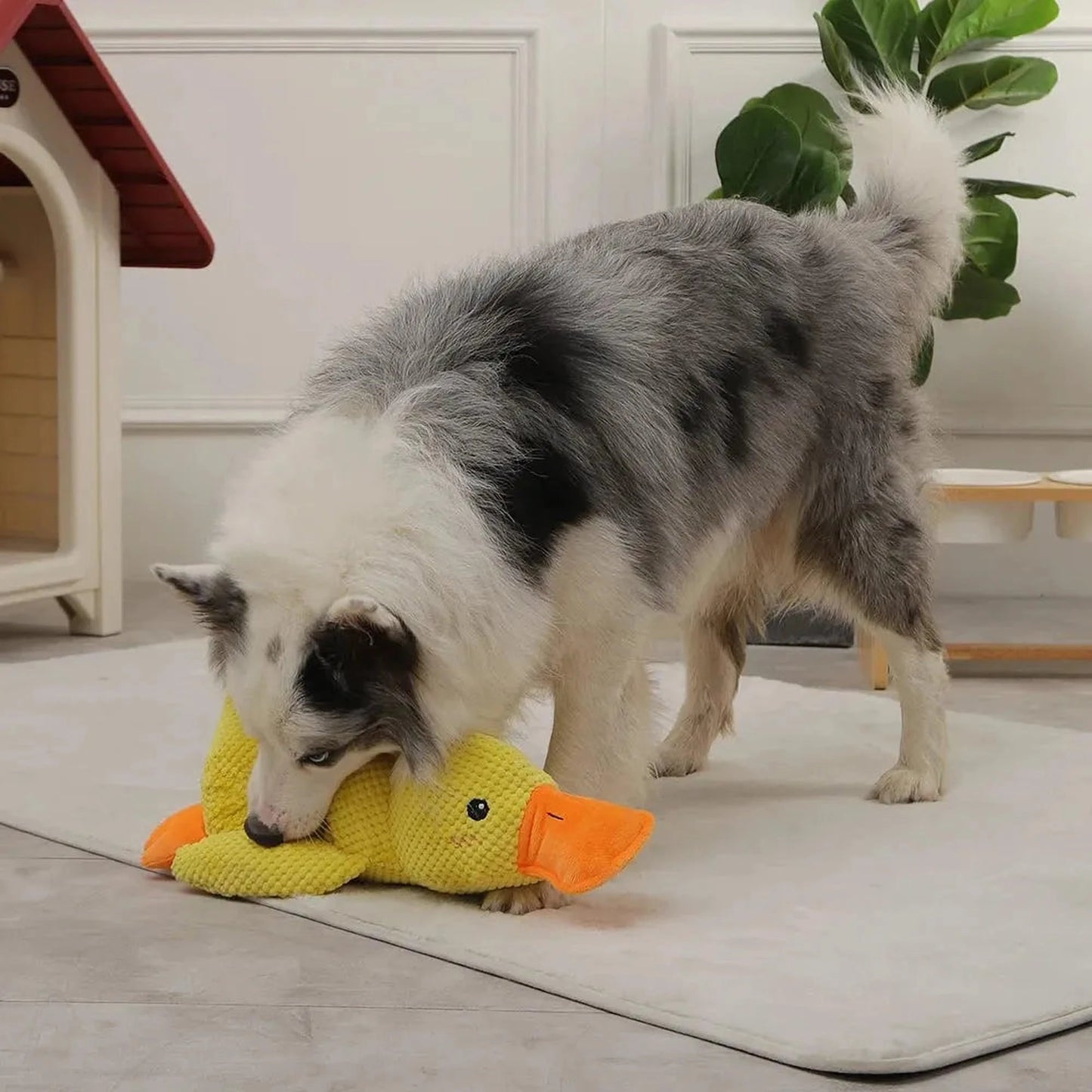 Hundespielzeug Ente | Kau- und Quietschtier gegen Langeweile & Angst