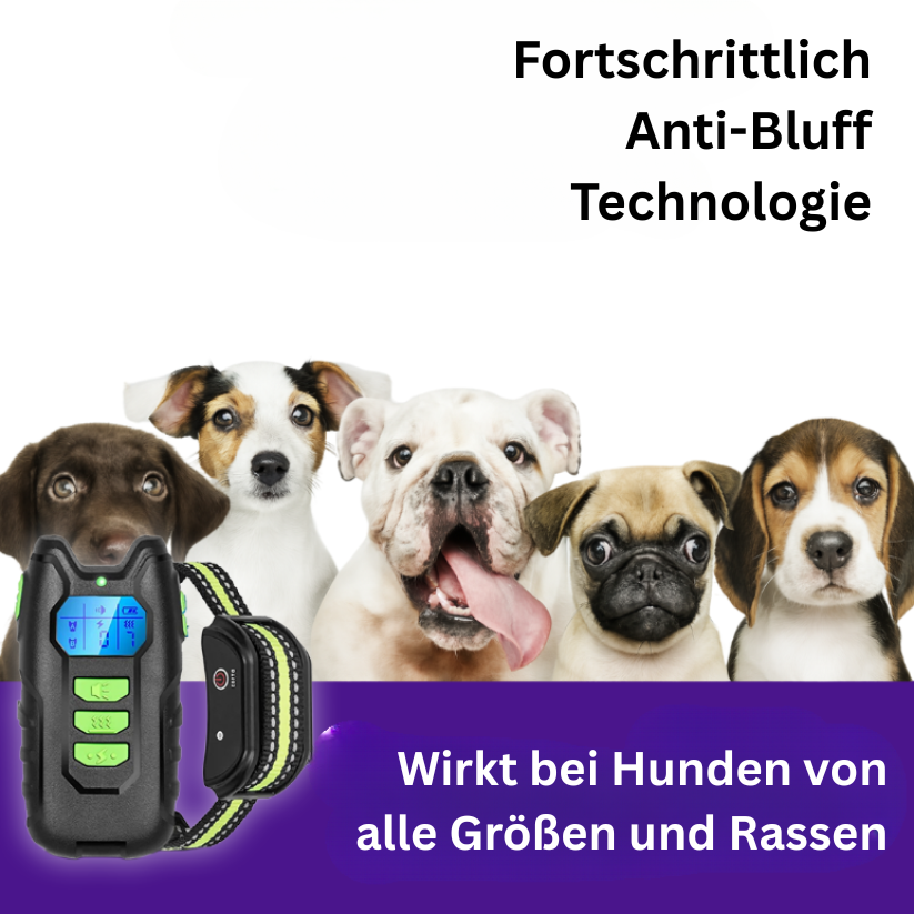 Dog Trainer Pro | Wiederaufladbares elektrisches Halsband für das Hundetraining