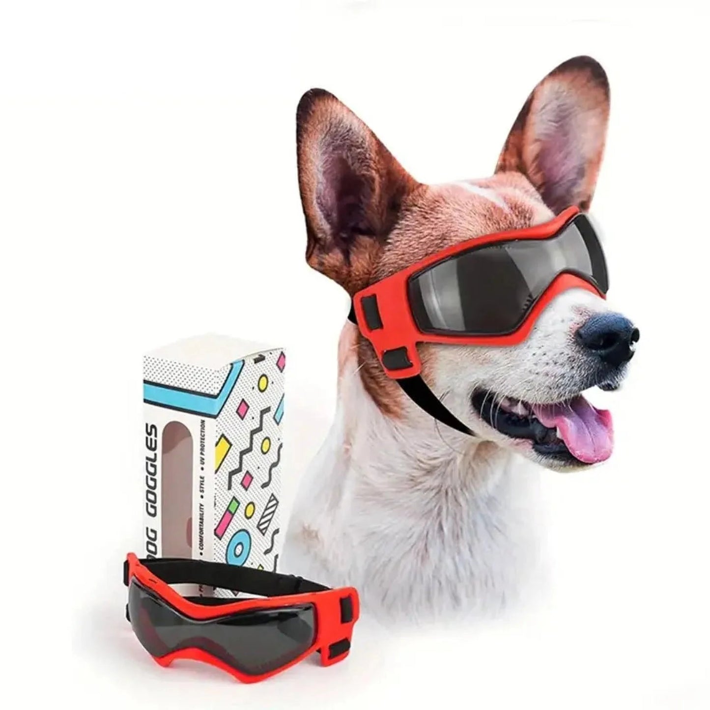 Jack | Hundebrille gegen Schmutz