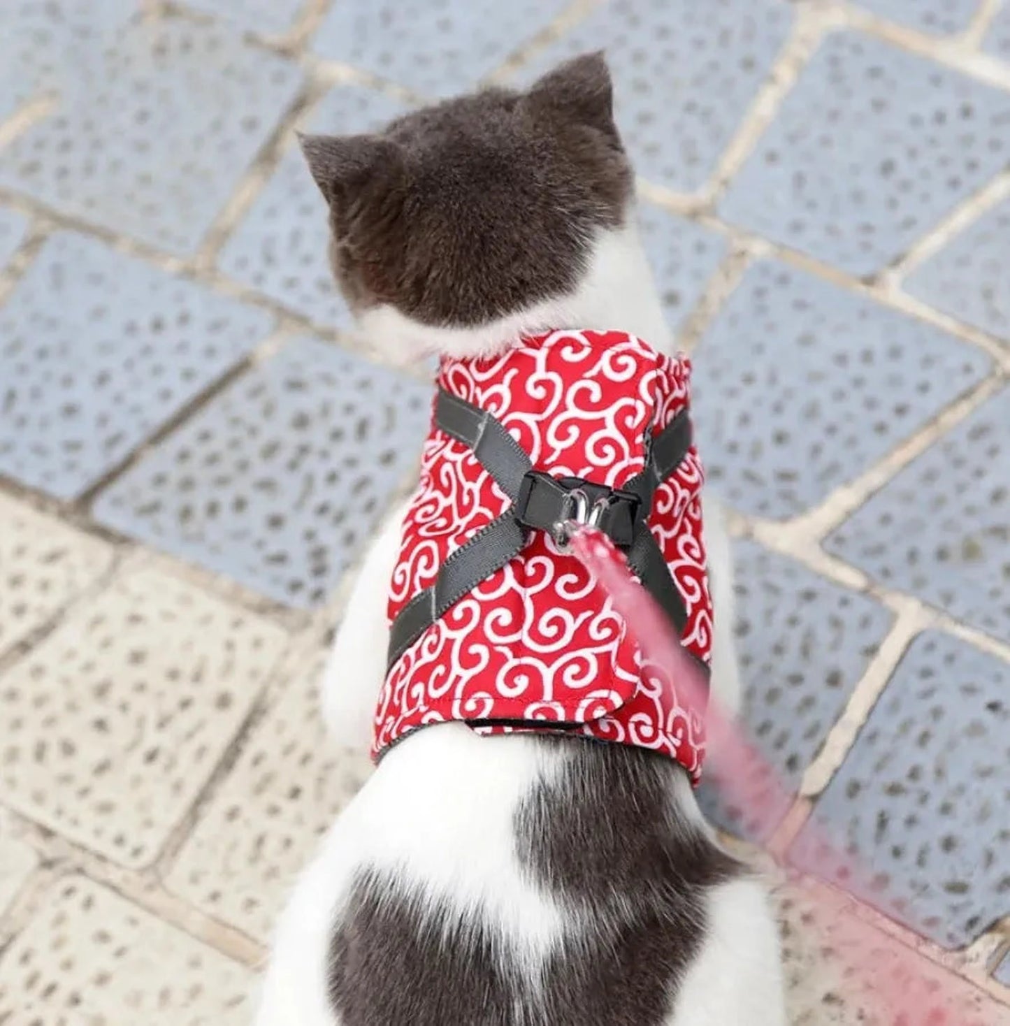 Katzengeschirr Komfort | Verstellbares Geschirr für sichere Abenteuer draußen
