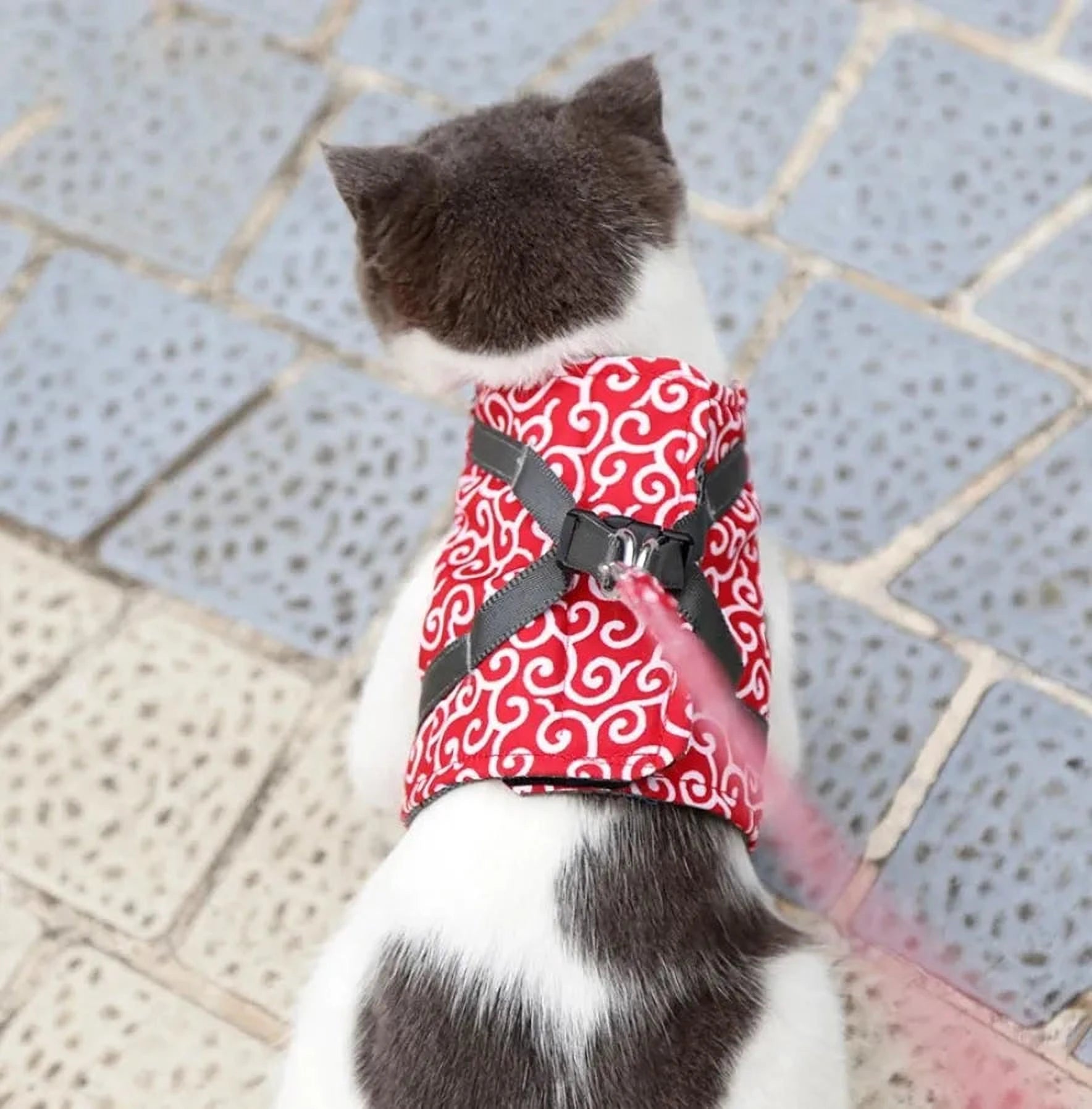 Katzengeschirr Komfort | Verstellbares Geschirr für sichere Abenteuer draußen