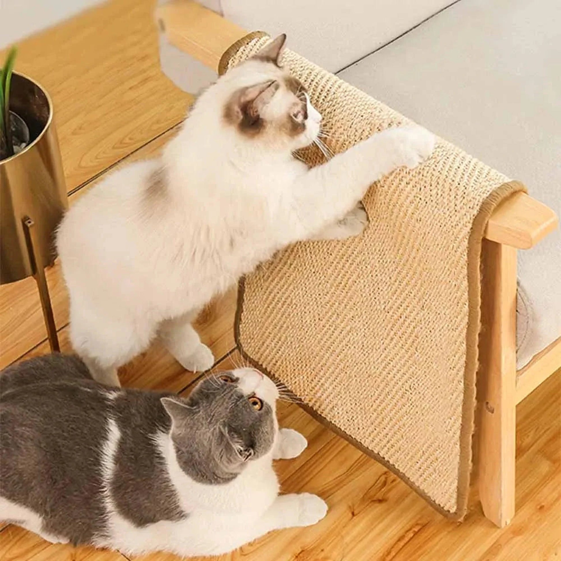 Katzenkratzmatte | Sisal-Kratzmatte zum Schutz der Möbel