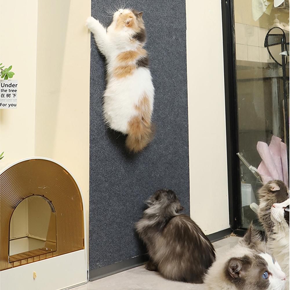 Kratzmatte Möbelschutz Katze selbstklebend | PawGuard