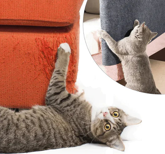Kratzmatte Möbelschutz Katze selbstklebend | PawGuard