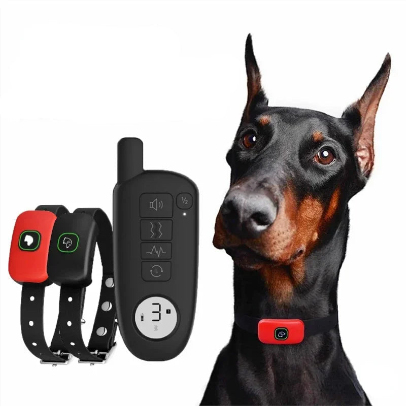 Leises Hundehalsband | Ruhige Kontrolle mit Fernbedienung