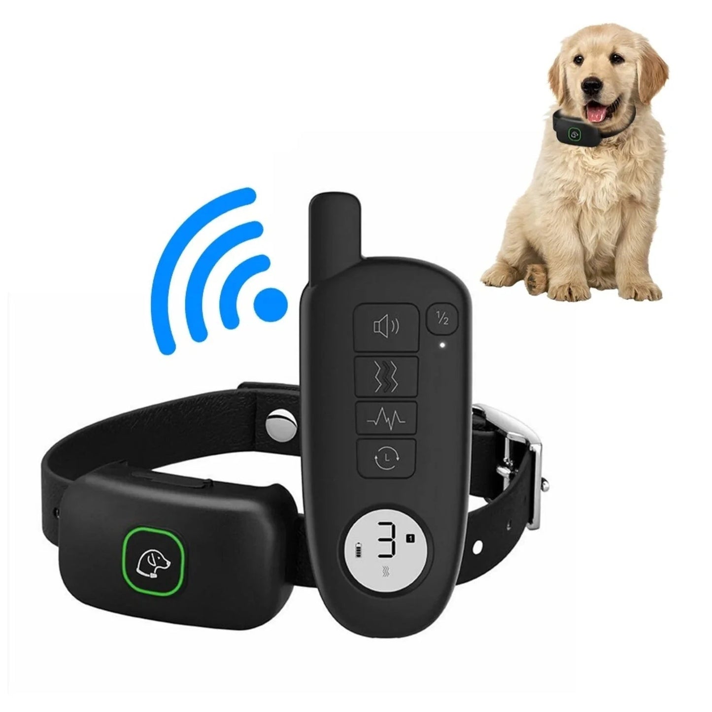 Leises Hundehalsband | Ruhige Kontrolle mit Fernbedienung