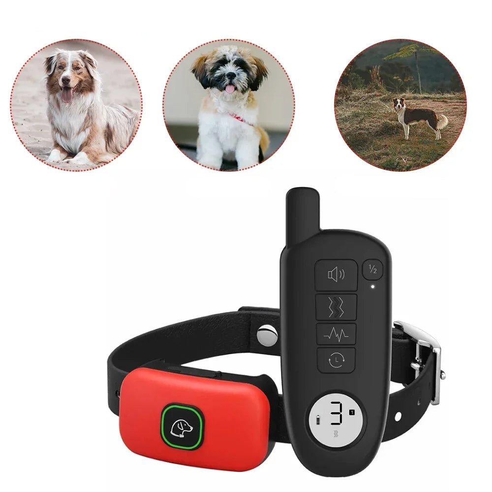 Leises Hundehalsband | Ruhige Kontrolle mit Fernbedienung