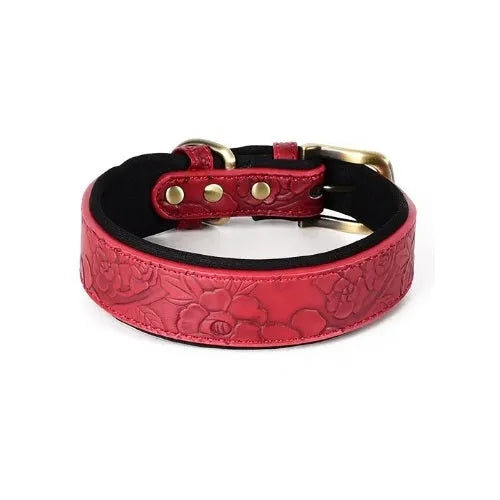 Lothar | Strapazierfähiges Leder Hundehalsband