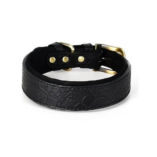 Lothar | Strapazierfähiges Leder Hundehalsband