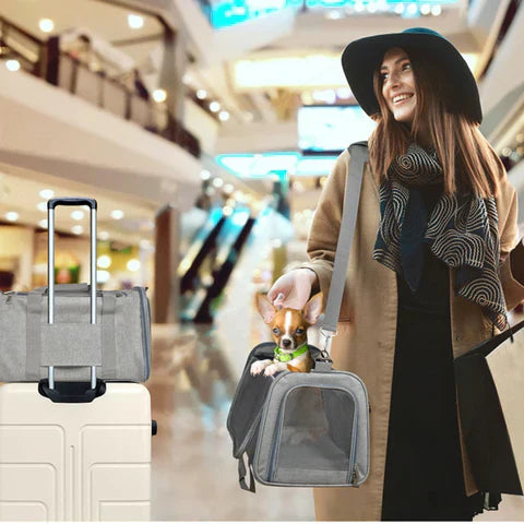 Nomado Carrier | Komfortable Reisetasche für Hunde und Katzen unterwegs