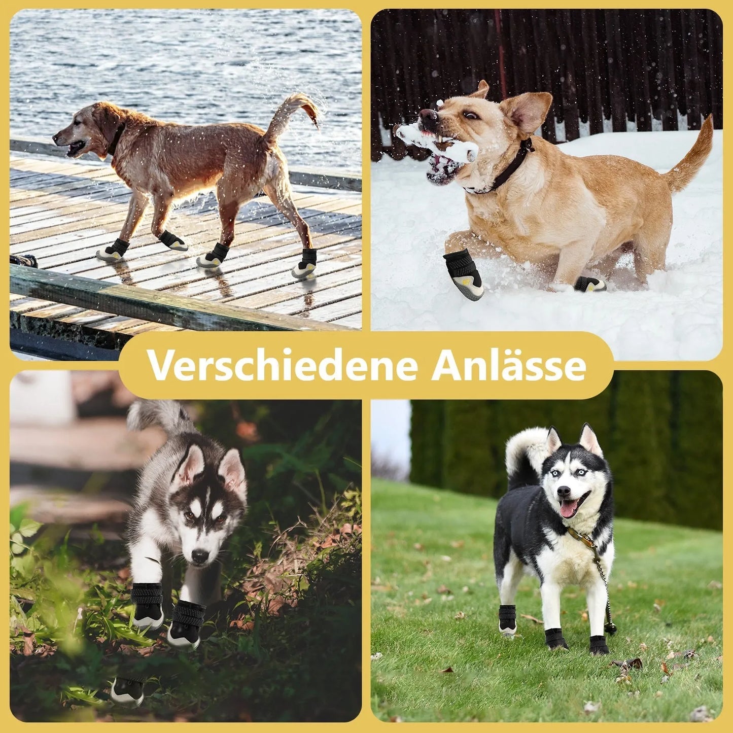PawShield | Hundeschuhe rutschfest, atmungsaktiv, ganzjährig