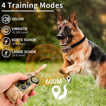 Perfektes Trainingshalsband | Optimales Ferntraining für Hunde
