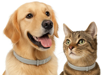 PuraBand | Floh- und Zeckenhalsband für Hunde und Katzen