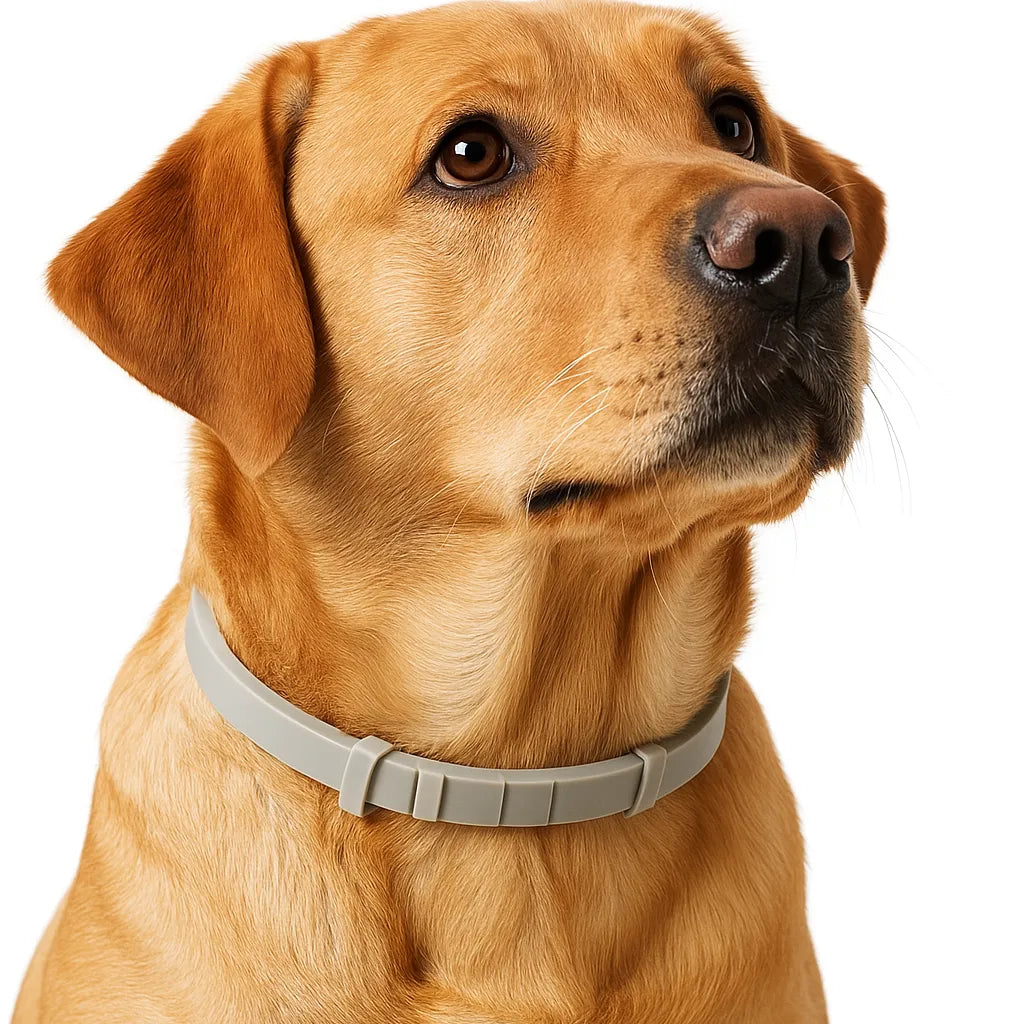 PuraBand | Floh- und Zeckenhalsband für Hunde und Katzen
