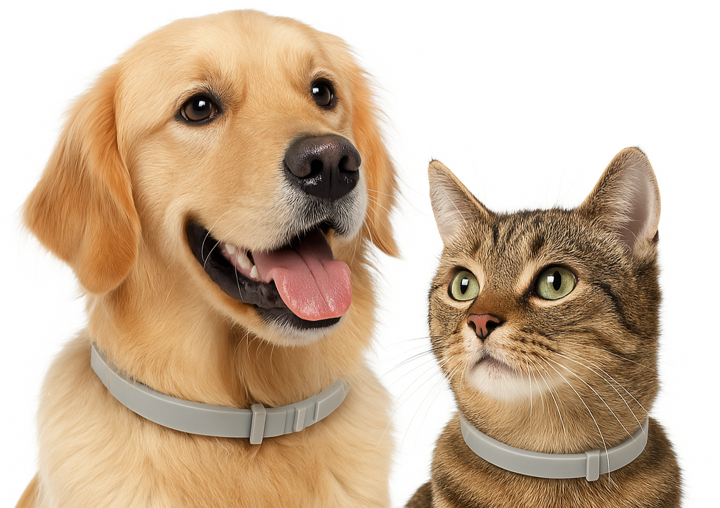 PuraBand | Floh- und Zeckenhalsband für Hunde und Katzen