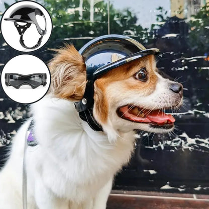 RideSafe | Hundehelm für sichere und stylische Ausfahrten