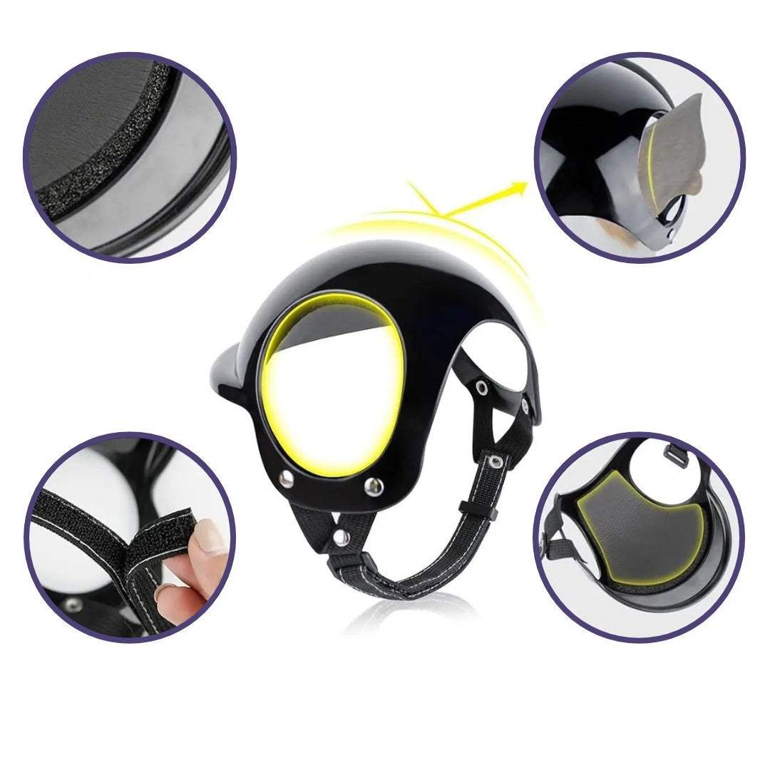 RideSafe | Hundehelm für sichere und stylische Ausfahrten