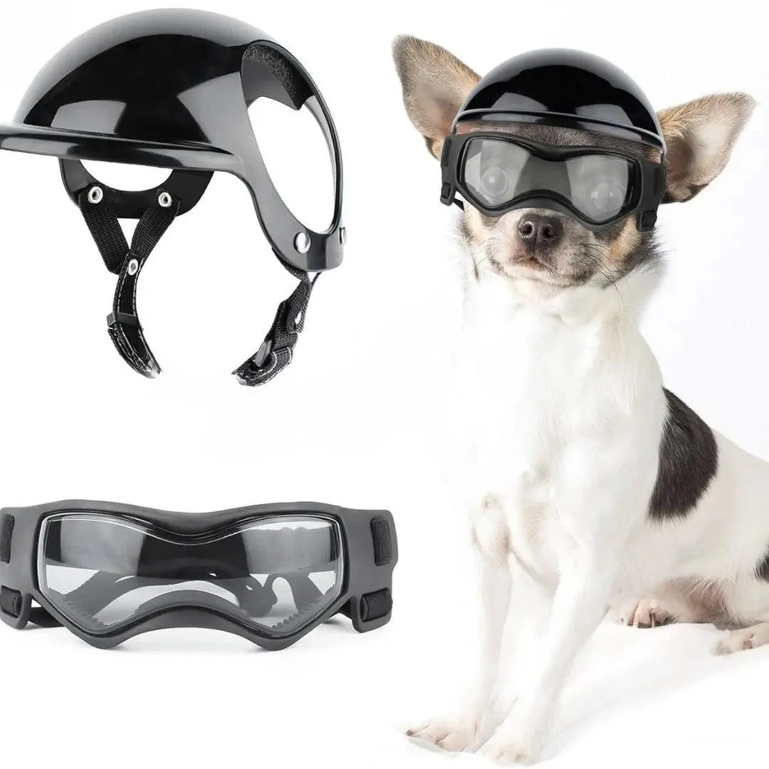 RideSafe | Hundehelm für sichere und stylische Ausfahrten