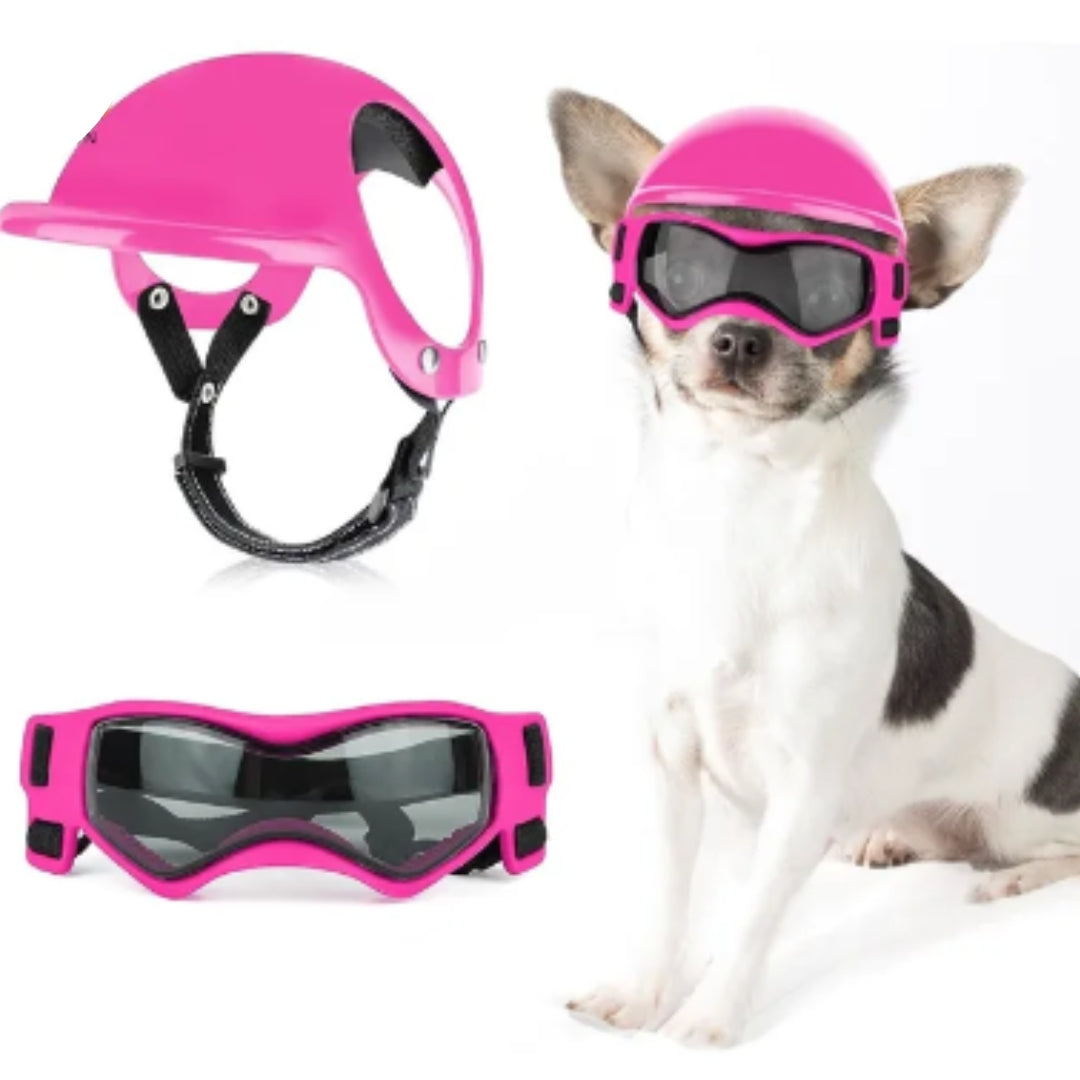 RideSafe | Hundehelm für sichere und stylische Ausfahrten