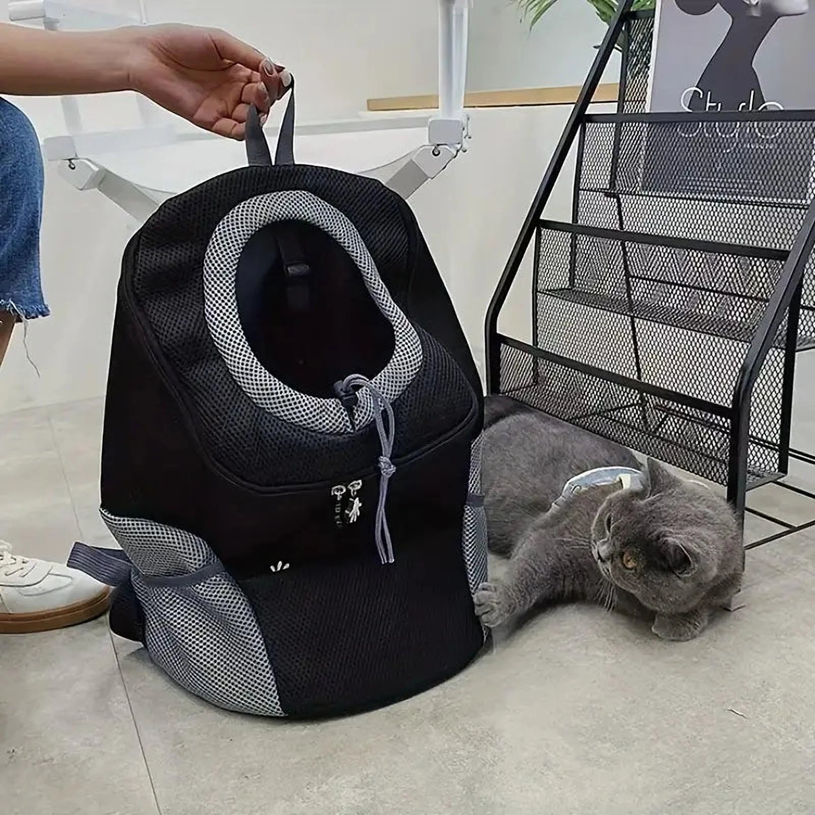 Roxy | Hunde Rucksack für stressfreie Abenteuer