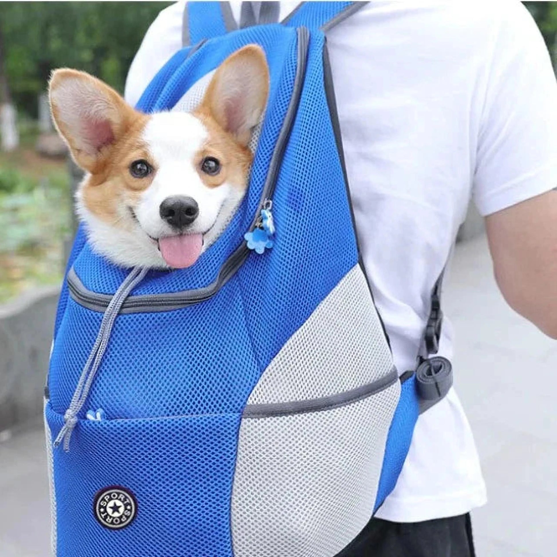 Roxy | Hunde Rucksack für stressfreie Abenteuer