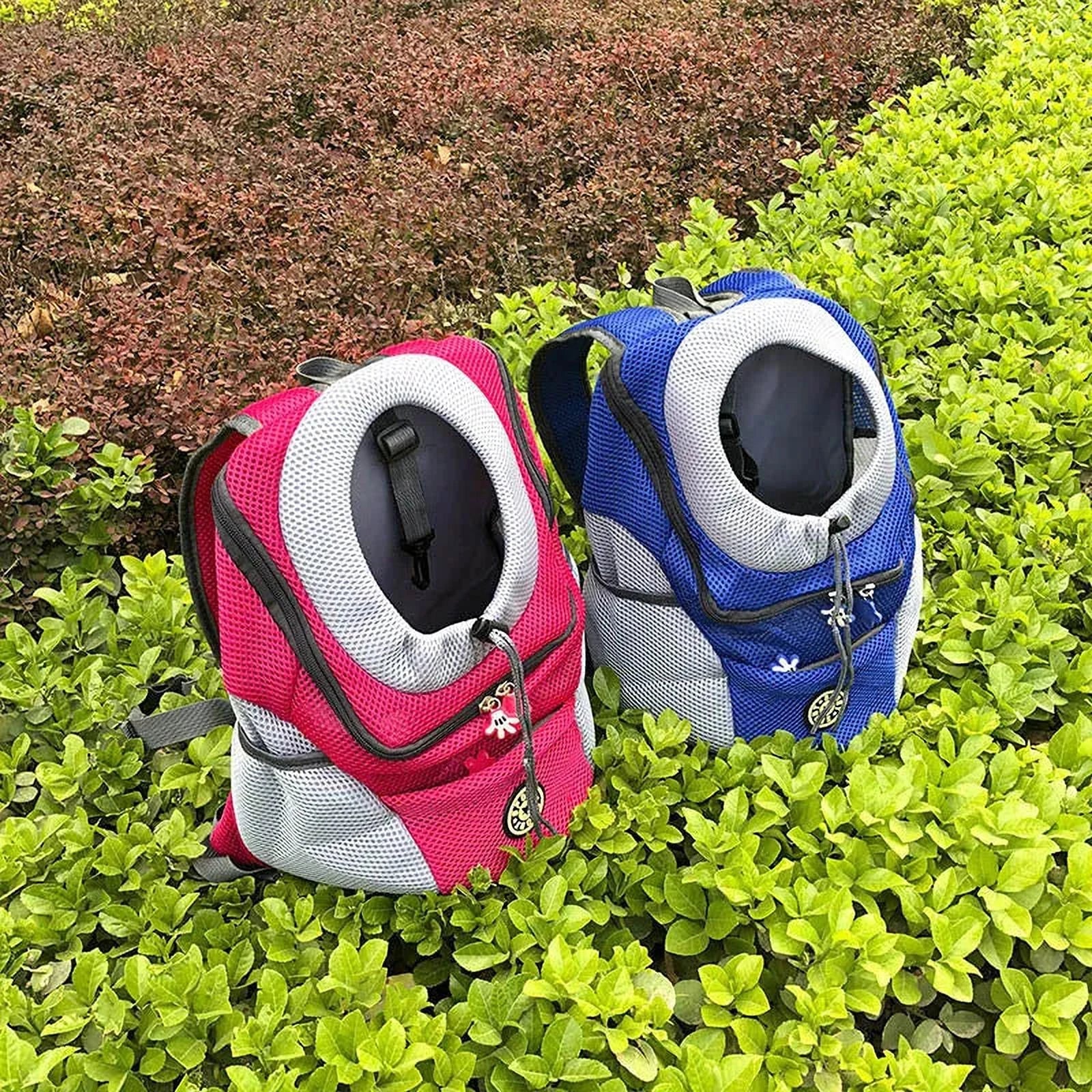 Roxy | Hunde Rucksack für stressfreie Abenteuer