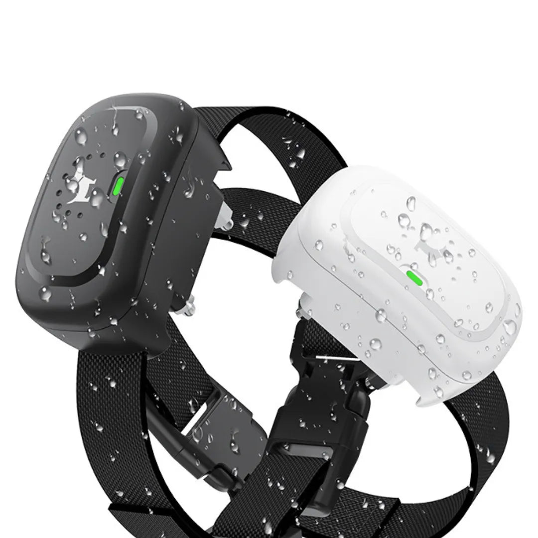 SmartTrain | Sicheres Erziehungshalsband mit Fernbedienung und Stoßschutz