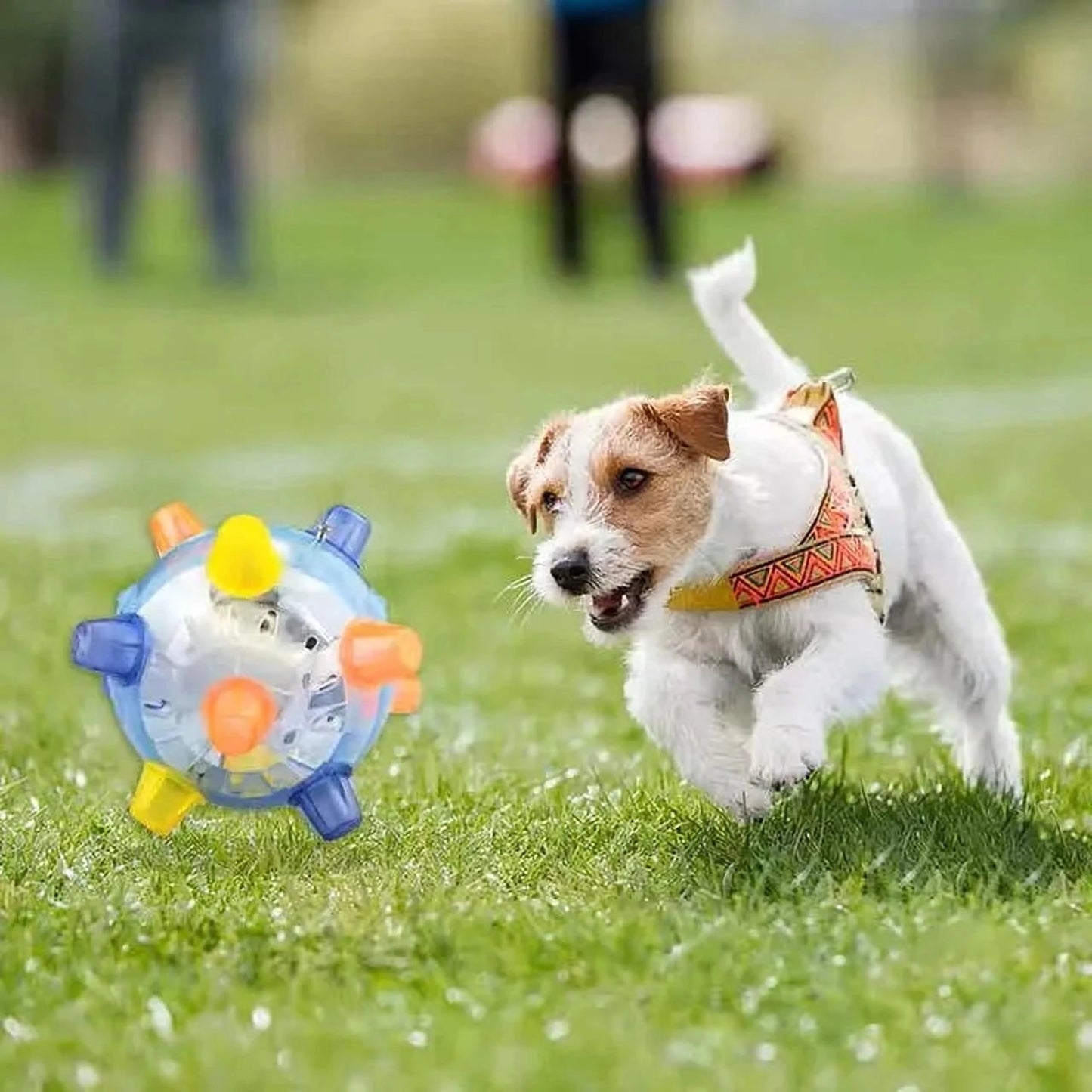 Springball | Interaktiver Hundeball gegen Langeweile & für mehr Spielspaß