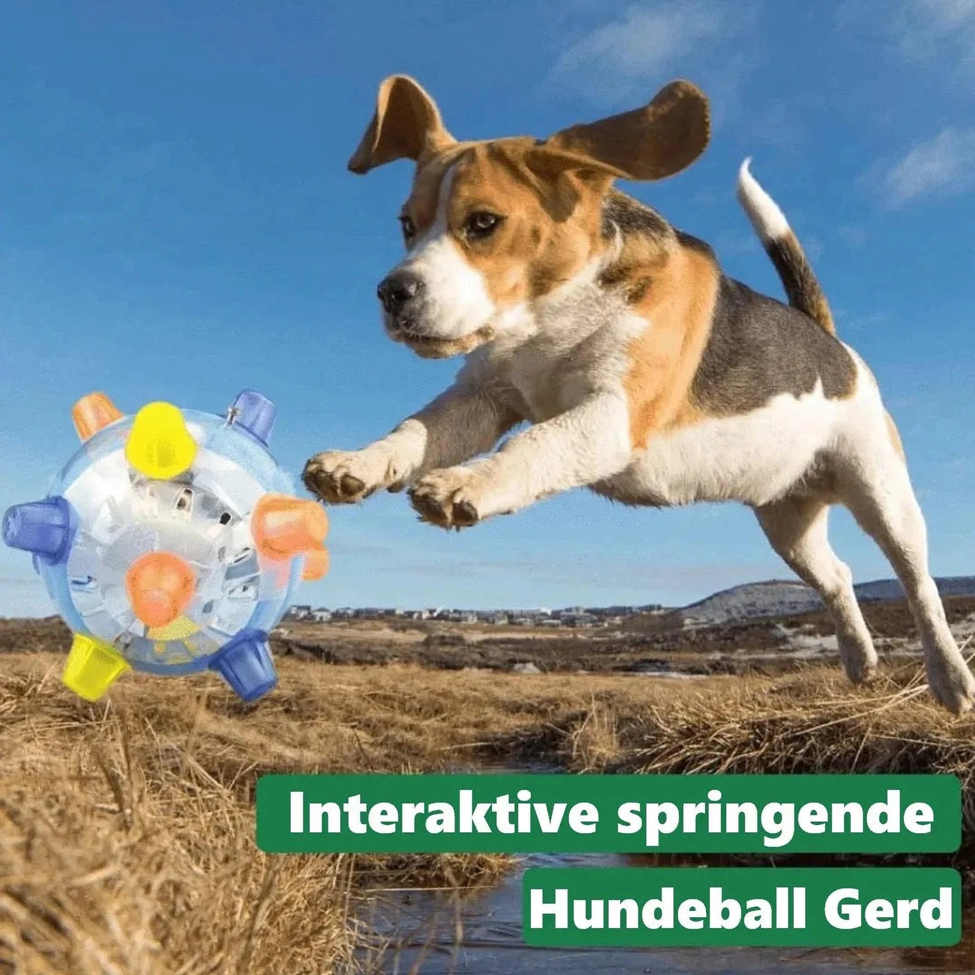 Springball | Interaktiver Hundeball gegen Langeweile & für mehr Spielspaß