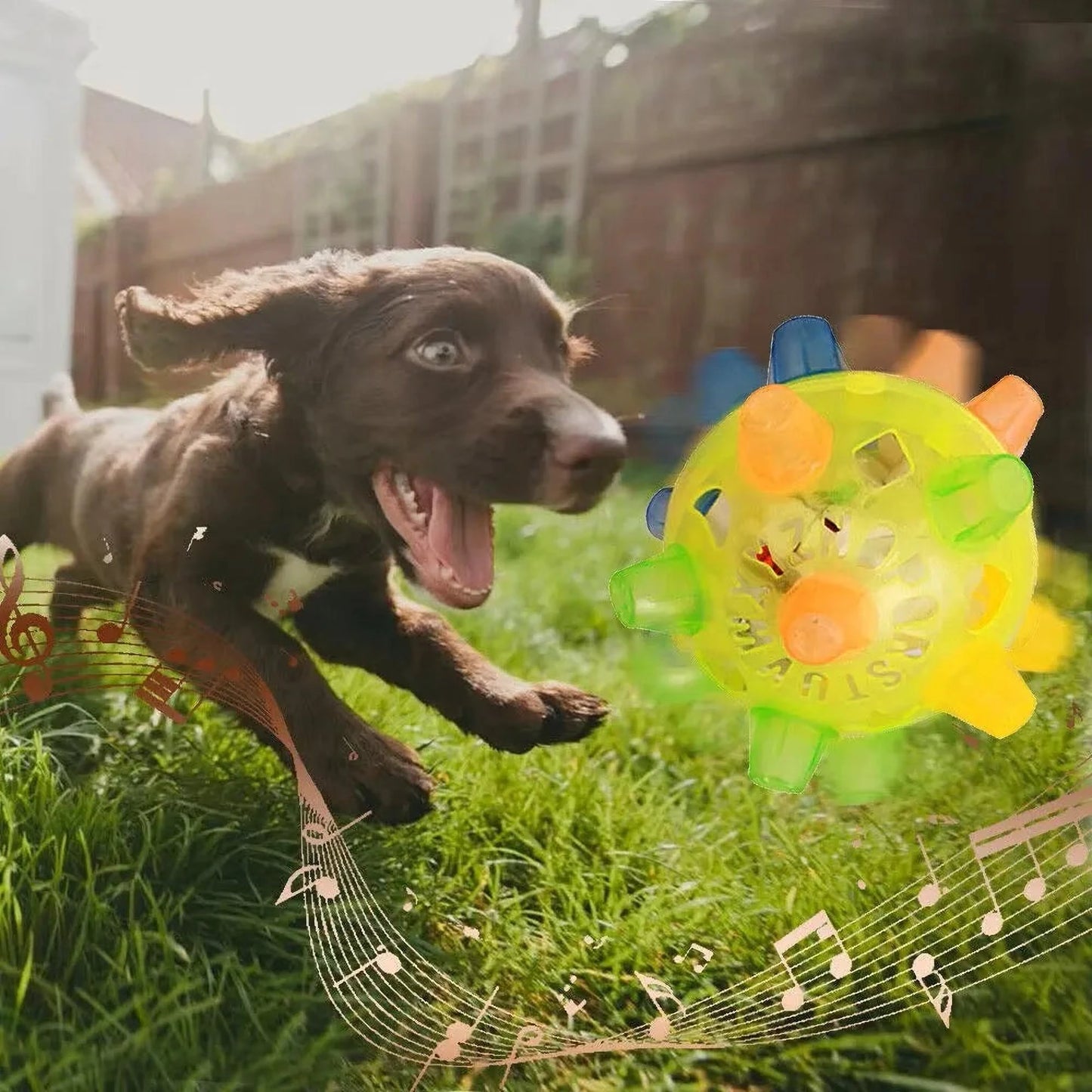 Springball | Interaktiver Hundeball gegen Langeweile & für mehr Spielspaß