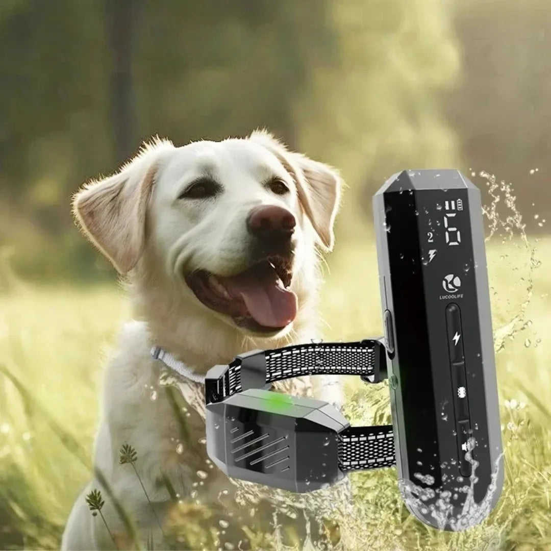 TrainPro | Hundefreundliches Trainingshalsband mit Fernbedienung und 3 Modi