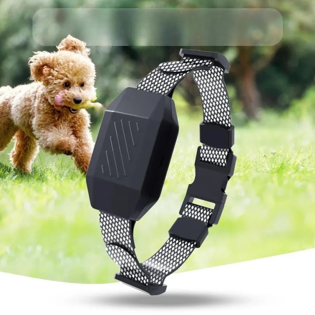TrainPro | Hundefreundliches Trainingshalsband mit Fernbedienung und 3 Modi