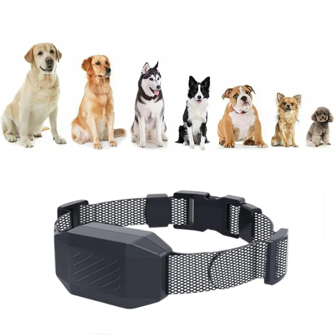 TrainPro | Hundefreundliches Trainingshalsband mit Fernbedienung und 3 Modi