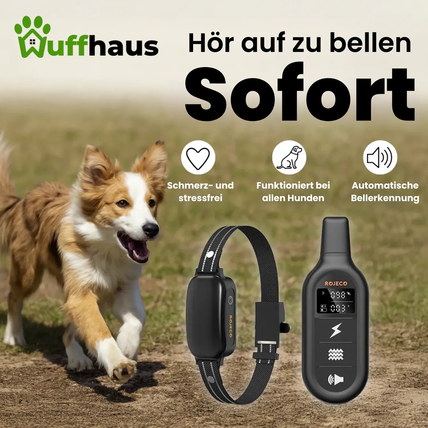 Trainingshalsband | Elektrisches Hundetrainingshalsband mit wasserdichter Fernbedienung