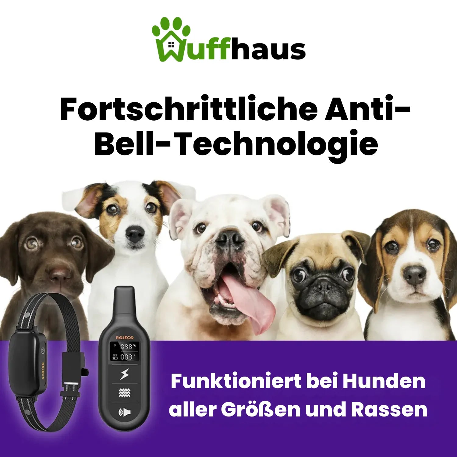 Trainingshalsband | Elektrisches Hundetrainingshalsband mit wasserdichter Fernbedienung