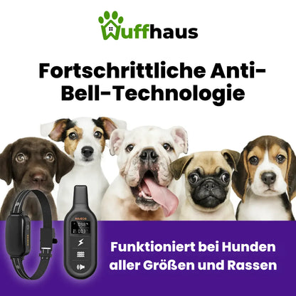 Trainingshalsband | Elektrisches Hundetrainingshalsband mit wasserdichter Fernbedienung