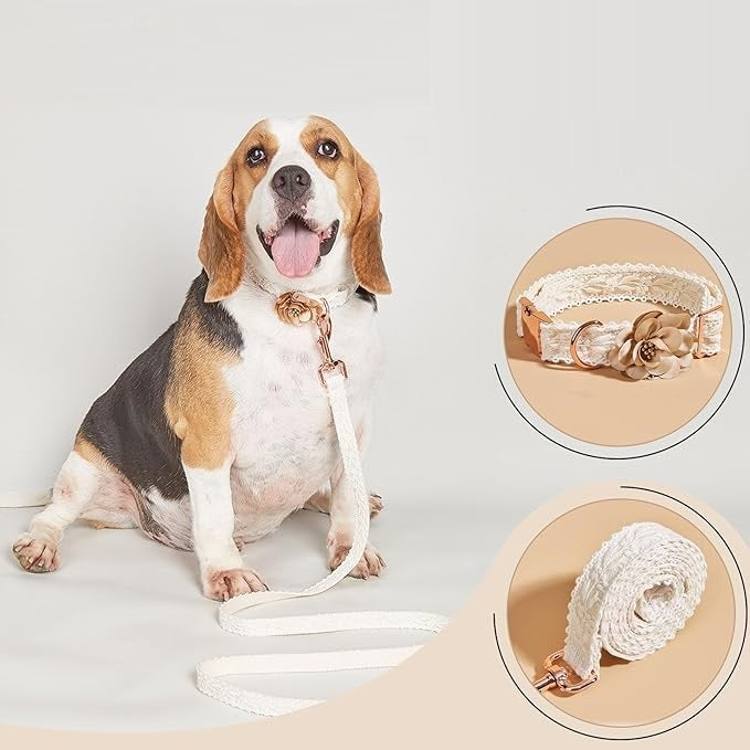 Velore | Luxuriöses, verstellbares Hundehalsband- und Leinenset mit stilvollem Design