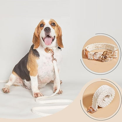 Velore | Luxuriöses, verstellbares Hundehalsband- und Leinenset mit stilvollem Design
