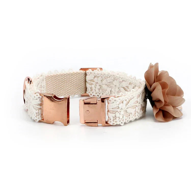 Velore | Luxuriöses, verstellbares Hundehalsband- und Leinenset mit stilvollem Design