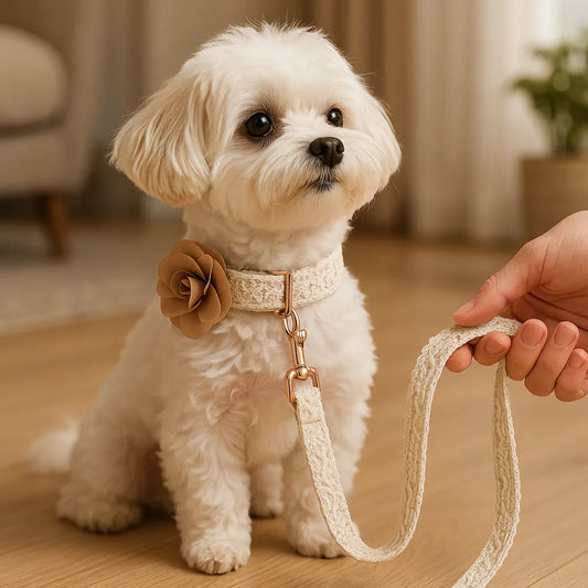 Velore | Luxuriöses, verstellbares Hundehalsband- und Leinenset mit stilvollem Design