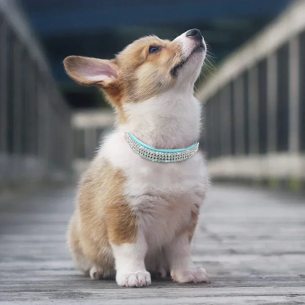 Velvexa | Luxuriöses Hundehalsband mit Strasssteinen und weichem Wildleder-Finish