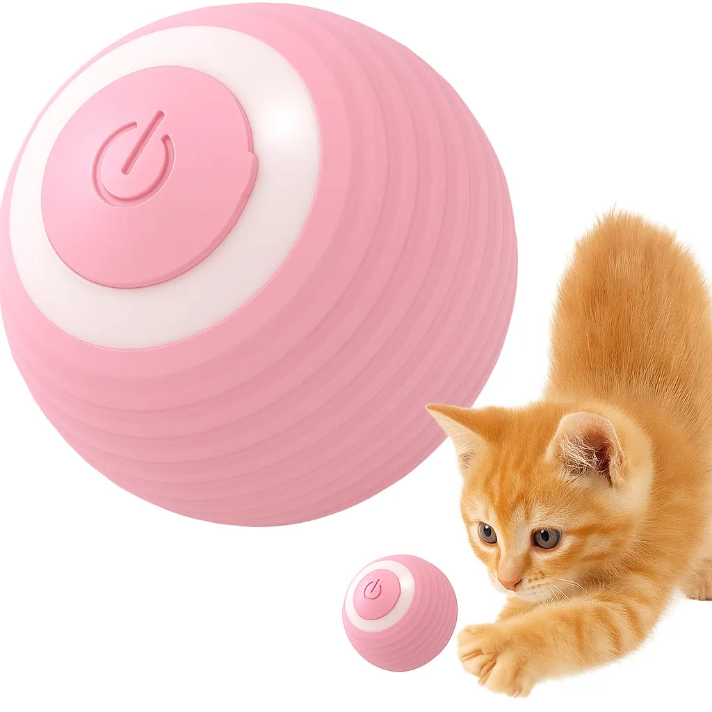 ZapZoom | Interaktives Spielzeug für Hunde und Katzen – wiederaufladbar