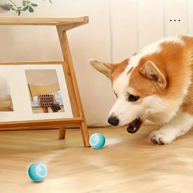 ZapZoom | Interaktives Spielzeug für Hunde und Katzen – wiederaufladbar