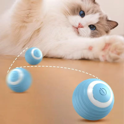 ZapZoom | Interaktives Spielzeug für Hunde und Katzen – wiederaufladbar
