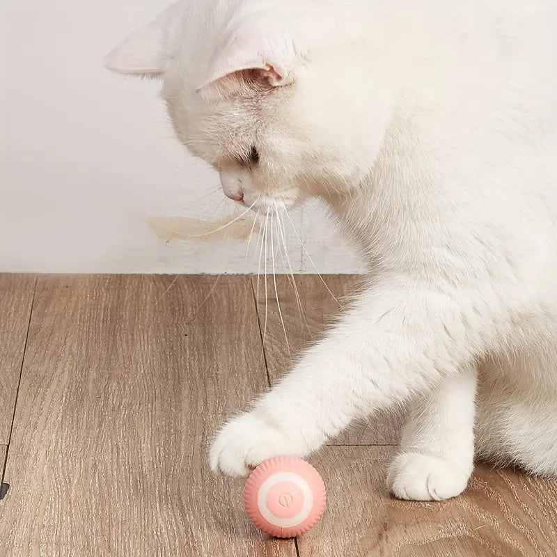 ZapZoom | Interaktives Spielzeug für Hunde und Katzen – wiederaufladbar