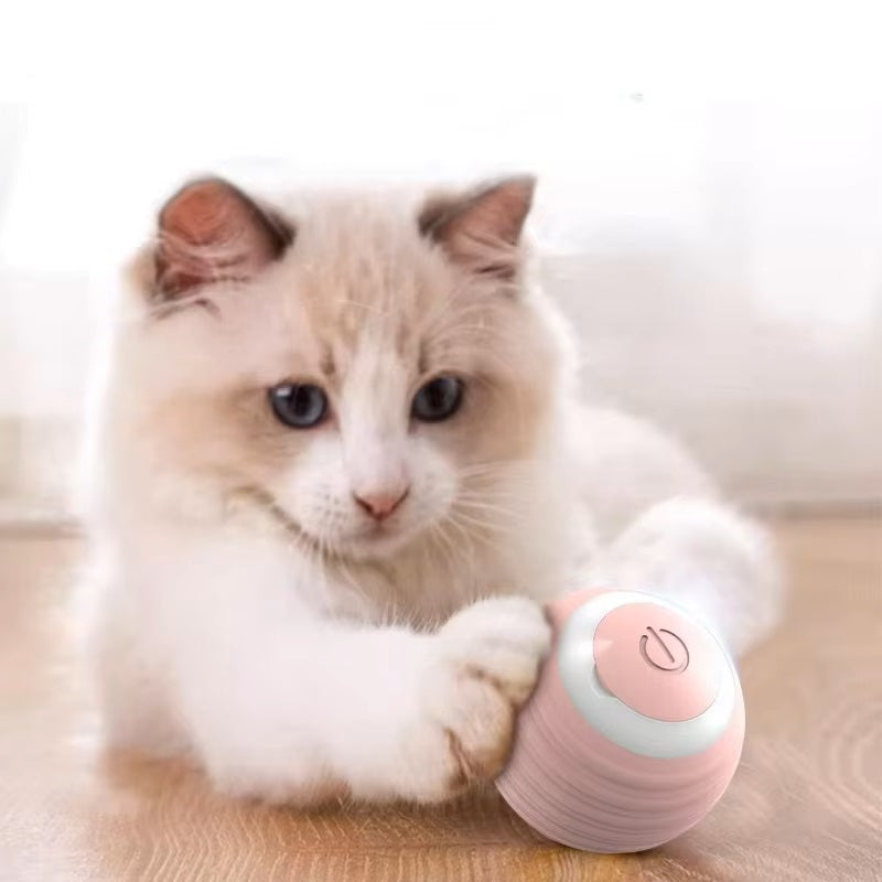 ZapZoom | Interaktives Spielzeug für Hunde und Katzen – wiederaufladbar